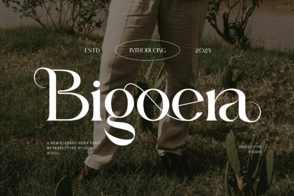 Bigoera: A Serif Font That Brings Elegance and Clarity to Digital Design