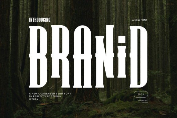 Branid: A Serif Typeface That Balances Elegance and Modern Branding