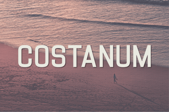 Costanum: A Sans Serif Typeface for Clean Digital Layouts and Brand Confidence