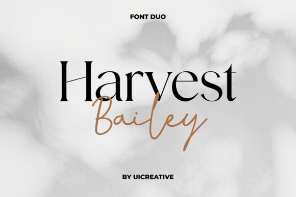 Harvest Bailey: A Font That Elevates Your Brand