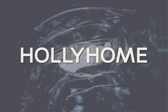 Hollyhome: A Sans Serif Typeface for Modern Web Design
