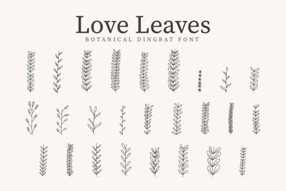 Love Leaves: A Botanical Dingbat Font for Editorial Design