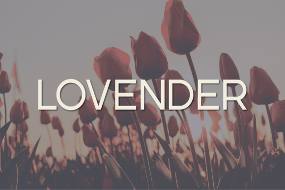 Lovender: A Contemporary Sans Serif Typeface with Quiet Confidence