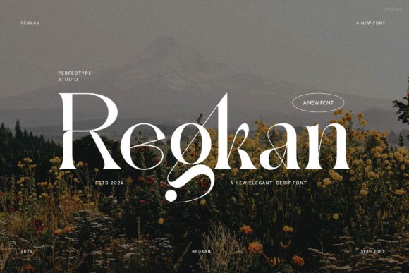 Regkan: A Refined Serif Typeface for Modern Web Design