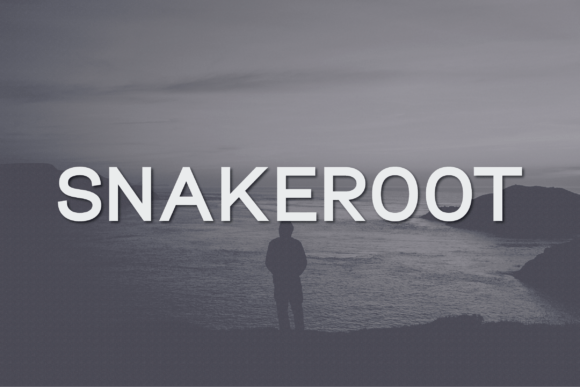 Snakeroot: A Modern Sans Serif for Clean Digital Interfaces