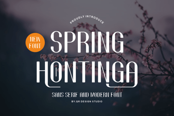 Spring Hontinga: A Bold Sans Serif Font for Digital Designers