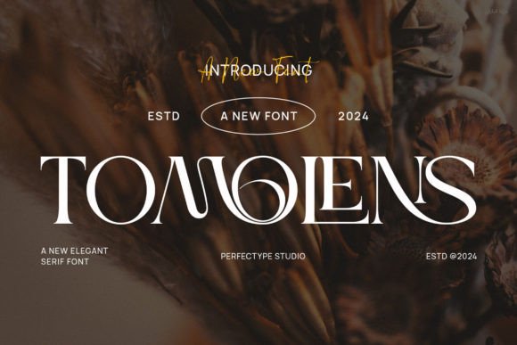 Tomolens: A Serif Typeface Built for Polished Digital Branding
