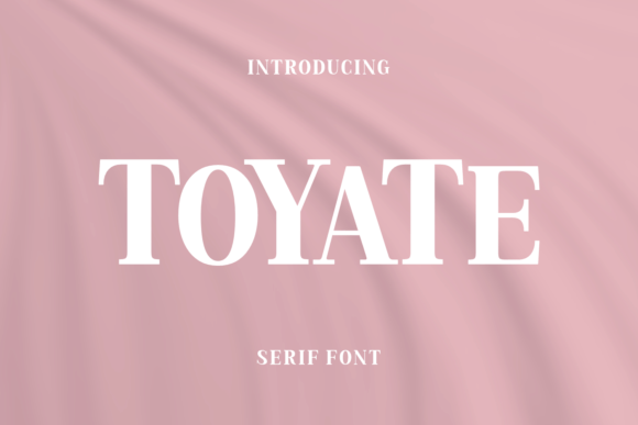 Toyate: A Serif Font That Brings Warmth to Editorial Design