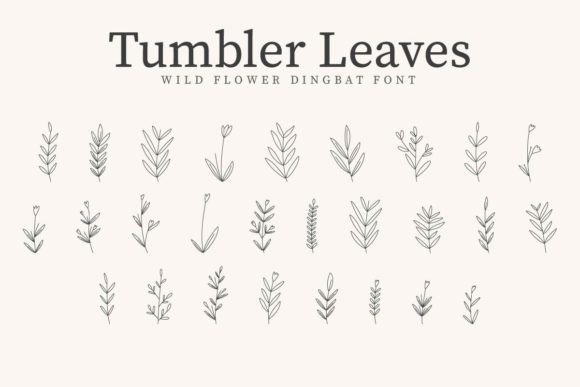 Tumbler Leaves: A Botanical Dingbat Font for Handmade Product Designs