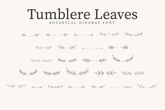 Tumblere Leaves: A Botanical Typeface for Editorial Design